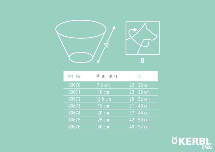 229275_Illustration__80670_240f.jpg