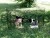81715_26.j_70c4.jpg