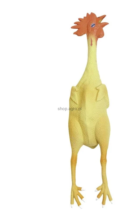 4031_829d.jpeg