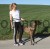88802_Anwendungsbild__81181_0ae3.jpg