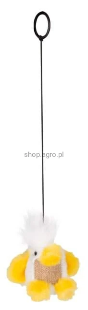 10634_Zusatzbild_81655__2__2be2.jpg