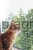 172888_Anwendungsbild__82654_a018.jpg