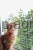 172889_Anwendungsbild__82654_f95c.jpg