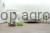 175183_a1df.JPG