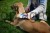 148092_Anwendungsbild__81901_ee0d.jpg
