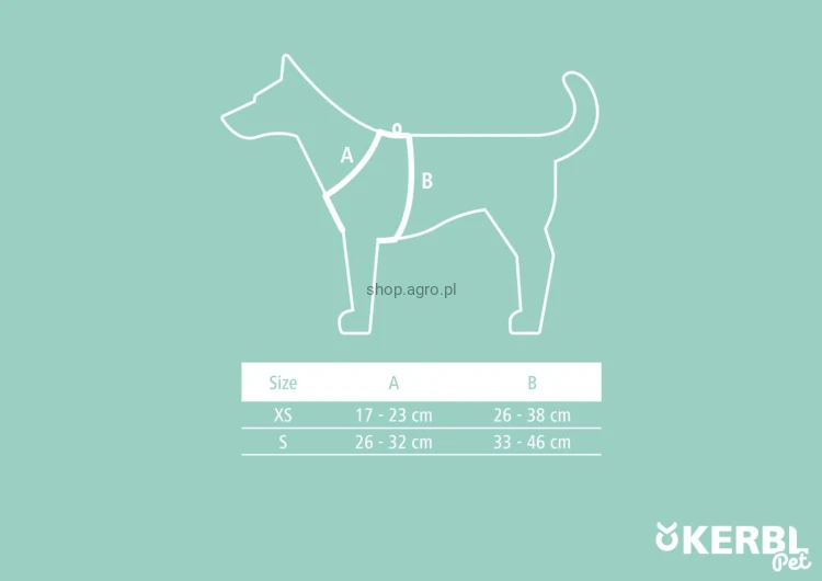 229276_Illustration__81062_b3a6.jpg