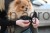 181474_mood_80566_24_aafb.jpg