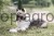 193457_Stimmungsbild_80497_9e27.jpg