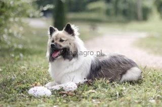 193457_Stimmungsbild_80497_9e27.jpg