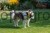 193443_Anwendungsbild_80498_1abf.jpg