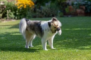 193443_Anwendungsbild_80498_1abf.jpg