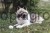 193453_Stimmungsbild_80497_fe57.jpg