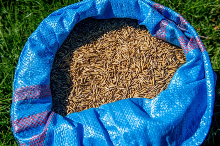 worki_can_agri_niebieskie_c349.jpg