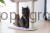 203709_Anwendungsbild__84440_1447.jpg