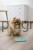 203789_Anwendungsbild__80550_acbb.jpg