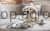 203762_Stimmungsbild__80489__1__95f8.jpg