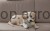 203754_Anwendungsbild__80490_605a.jpg