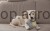 203753_Anwendungsbild__80490_3a81.jpg
