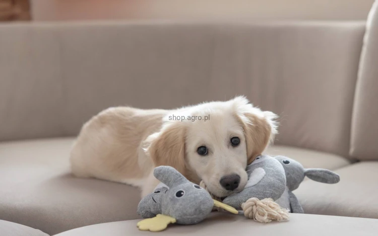 203767_Stimmungsbild__80489_5c39.jpg