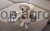 203766_Stimmungsbild__80489_5265.jpg