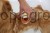 215619_Anwendungsbild__80134_4592.jpg