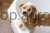 215640_Anwendungsbild__80134_4f2b.jpg
