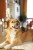 215596_Anwendungsbild__80136_591d.jpg