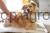 215618_Anwendungsbild__80142_a5fe.jpg