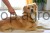 215598_Anwendungsbild__80138_cb89.jpg
