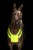 215498_Anwendungsbild__3228169_2ee6.jpg