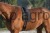 215587_Anwendungsbild__32339_2619.jpg