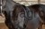215655_Anwendungsbild__32339_c99f.jpg