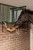 215575_Anwendungsbild__3228260_121c.jpg