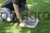 215556_Step_by_step__81747_3917.jpg