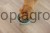 218601_Anwendungsbild__80560_57cb.jpg