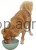 218648_Zusatzbild__80560_47a4.jpg