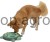 218650_Zusatzbild__80943_bd42.jpg