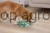 218595_Anwendungsbild__80943_ec2b.jpg