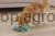 218594_Anwendungsbild__80943_d4c4.jpg