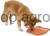 218649_Zusatzbild__80944_7d86.jpg