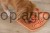 218598_Anwendungsbild__80944_9b61.jpg