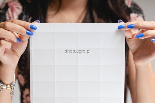 Papier_7MB_1_62dd.jpg