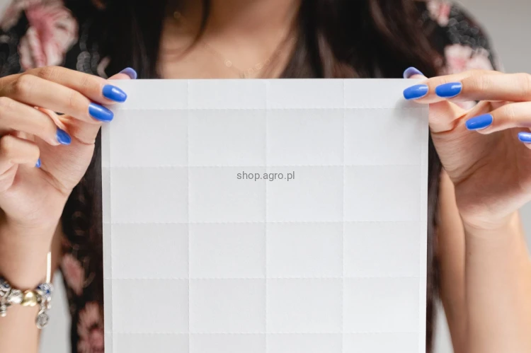 Papier_7MB_1_62dd.jpg