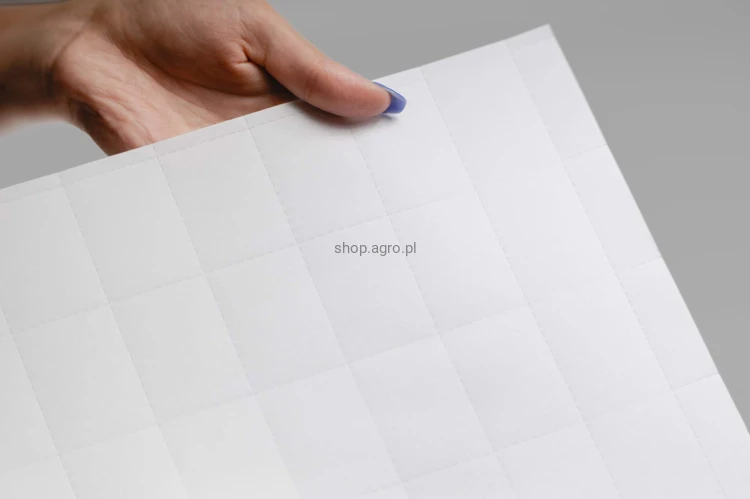 Papier_7MB_2_f618.jpg