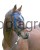 3681_9be2.jpg