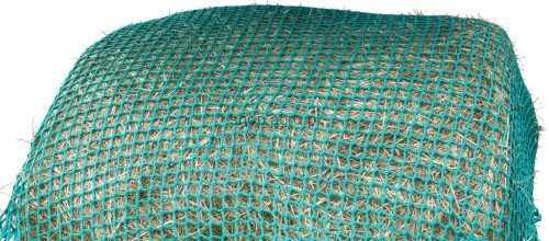 216165_Zusatzbild__291352_7df4.jpg