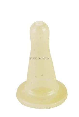1562_2e0d.jpeg
