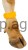 103219_Zusatzbild__20110_2e13.jpg