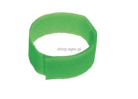 5113_8804.jpeg