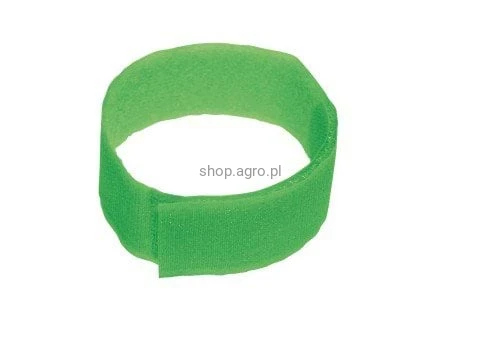 5113_8804.jpeg